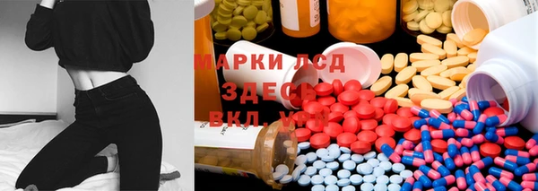 ECSTASY Баксан